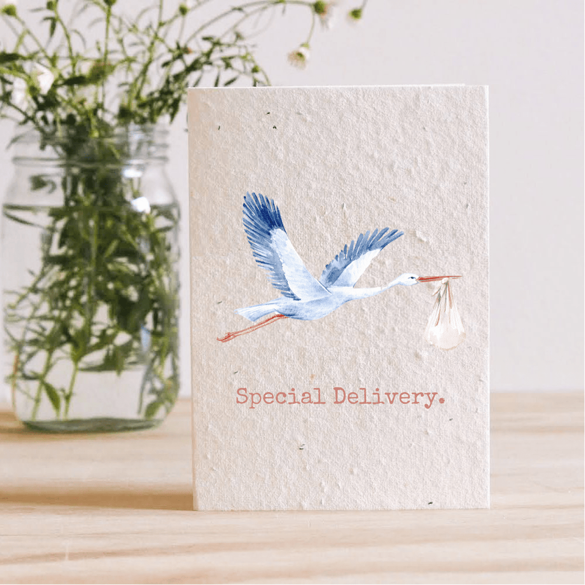 Special Delivery Stork Plantable Seed Card