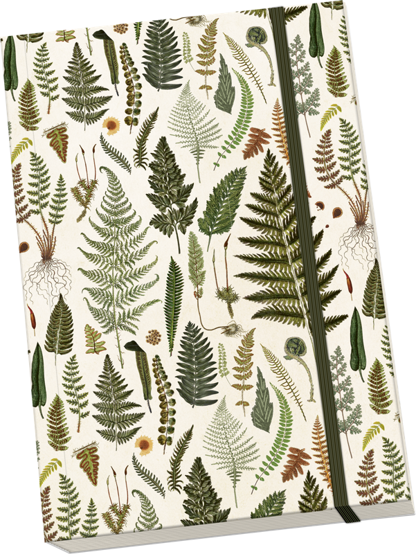 Sköna Fern Notebook