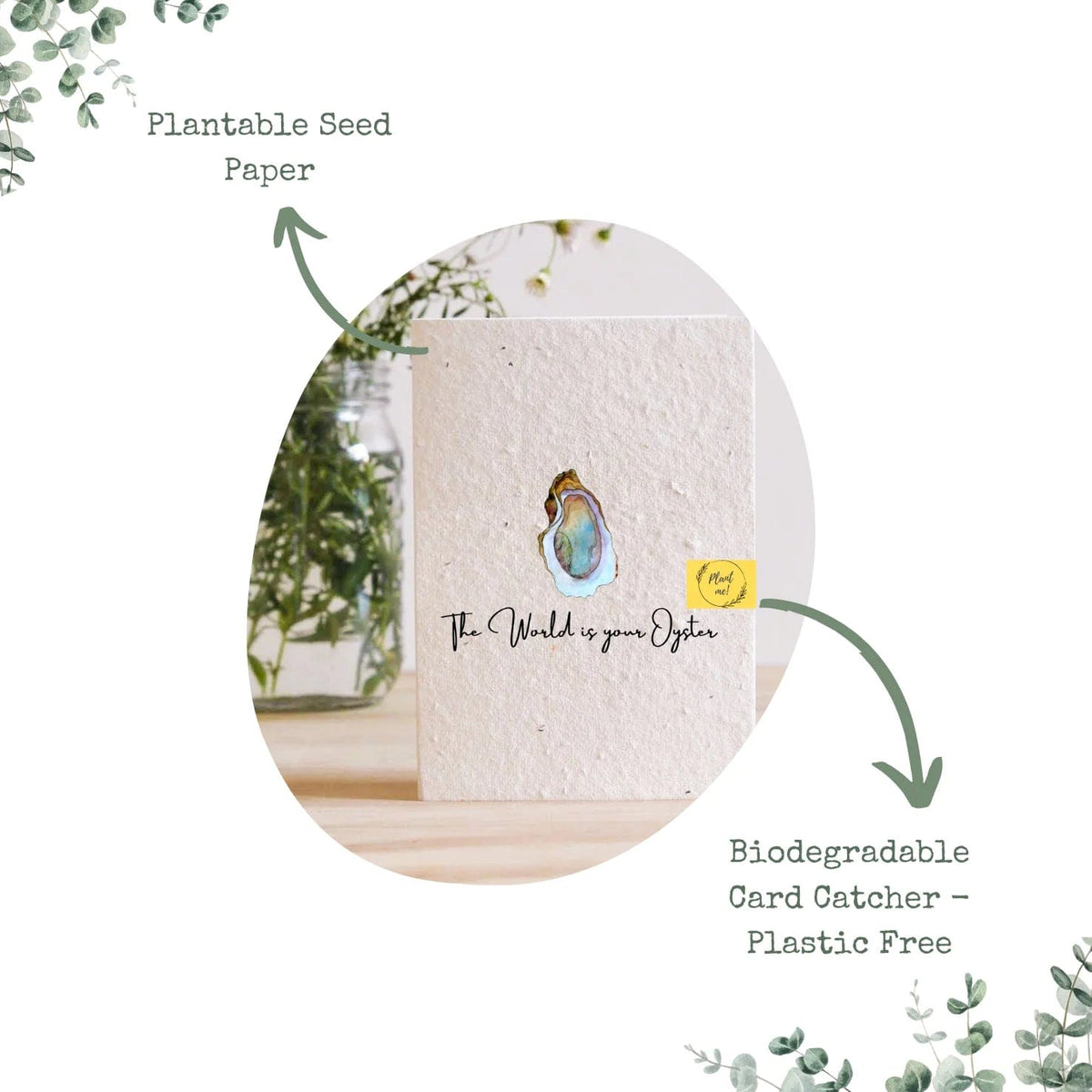 Nollaig Shona Wreath Plantable Seed Card