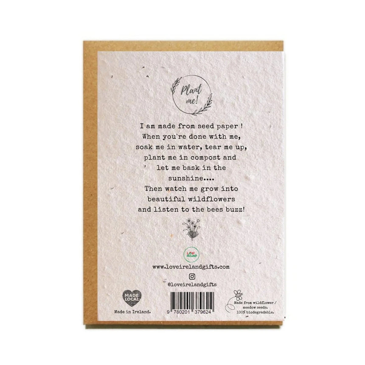 Tayto Crisps Plantable Seed Card