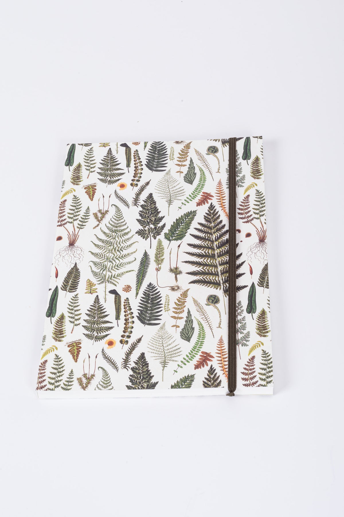 Sköna Fern Notebook