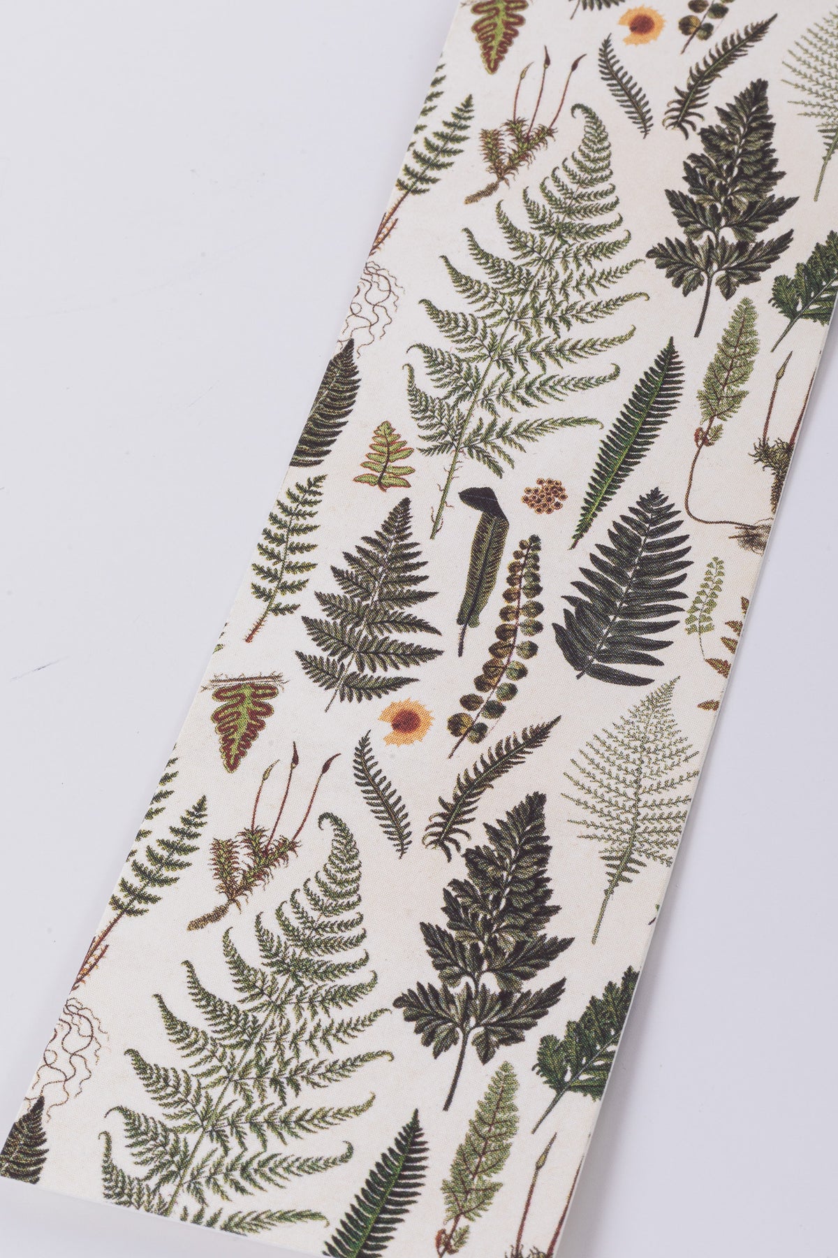 Sköna Fern Bookmark