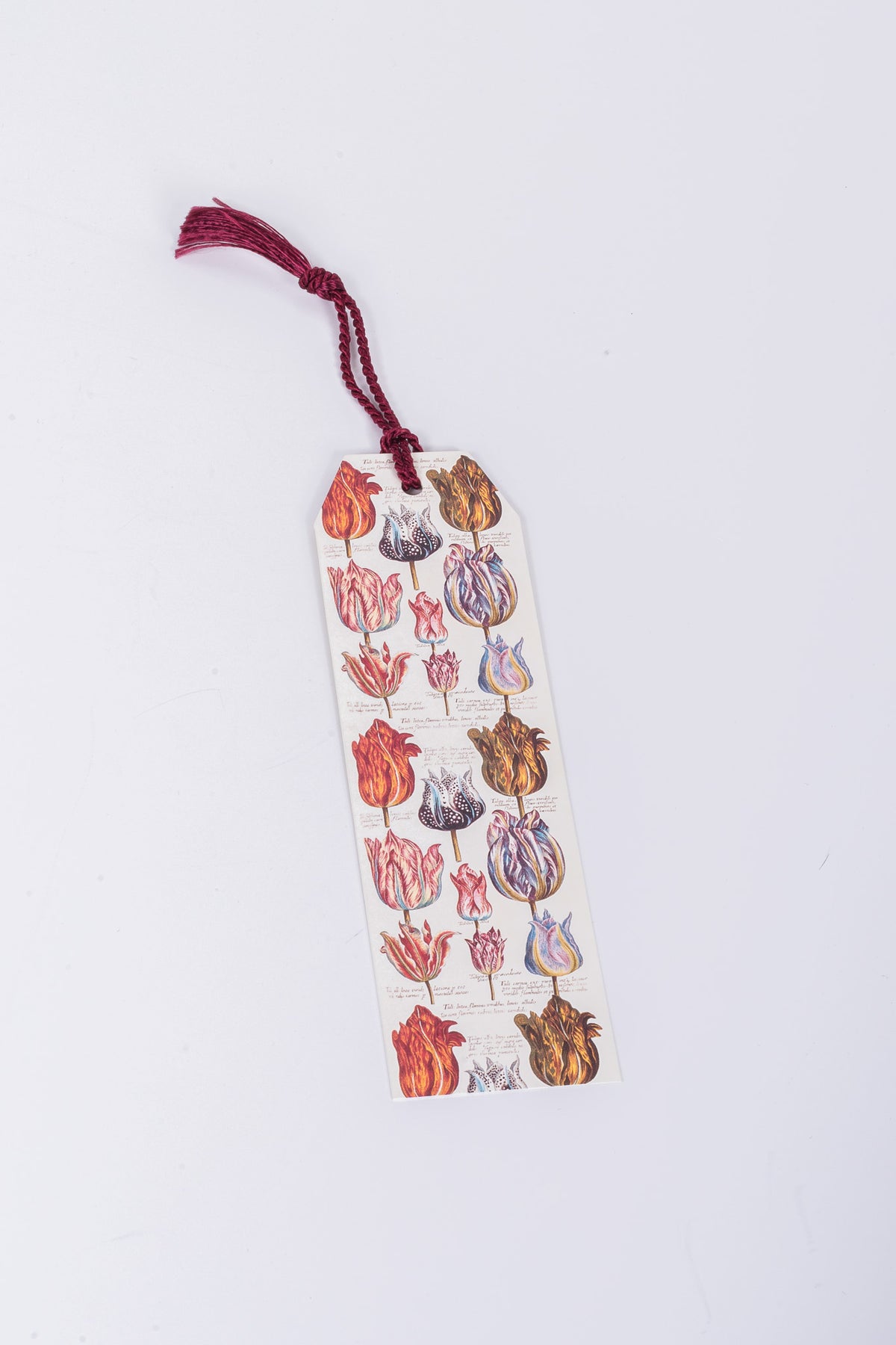 Sköna Tulip Bookmark