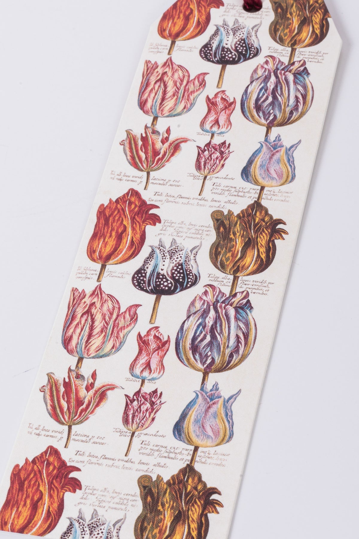 Sköna Tulip Bookmark