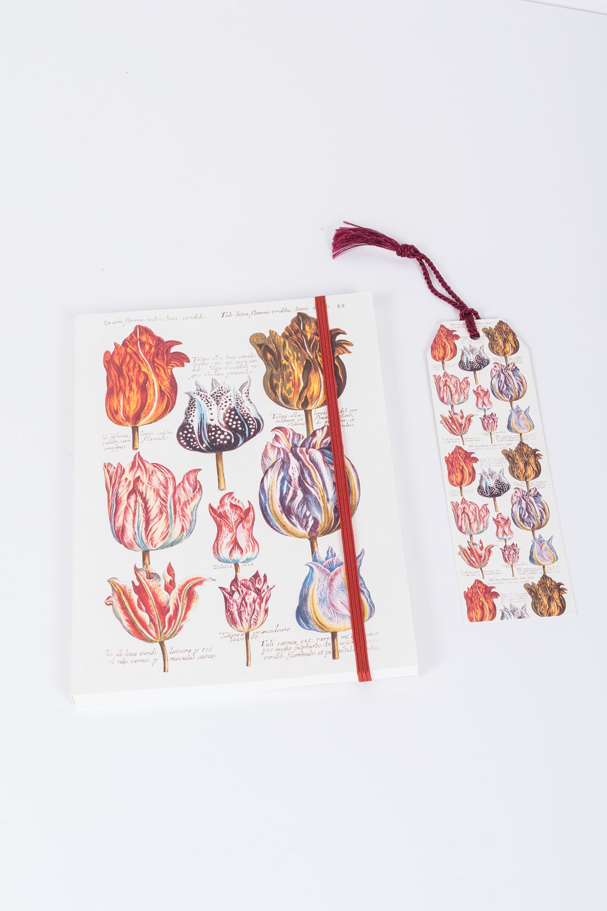 Sköna Tulip Bookmark