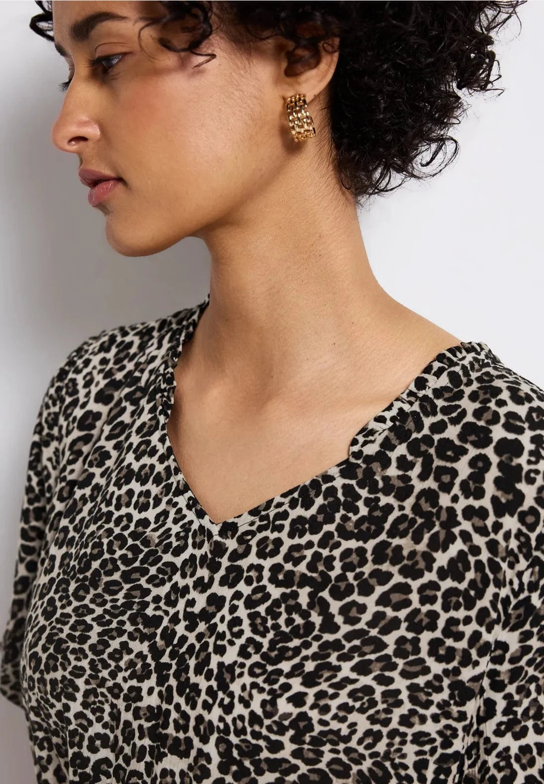 Street One Animal Print Dress