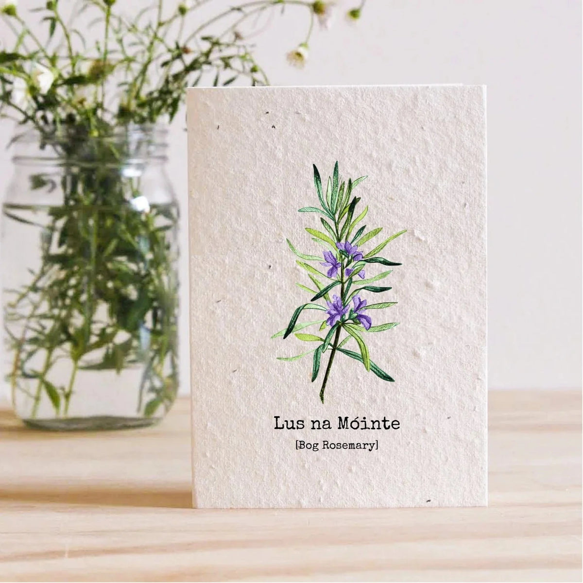 Bog Rosemary Plantable Seed Card