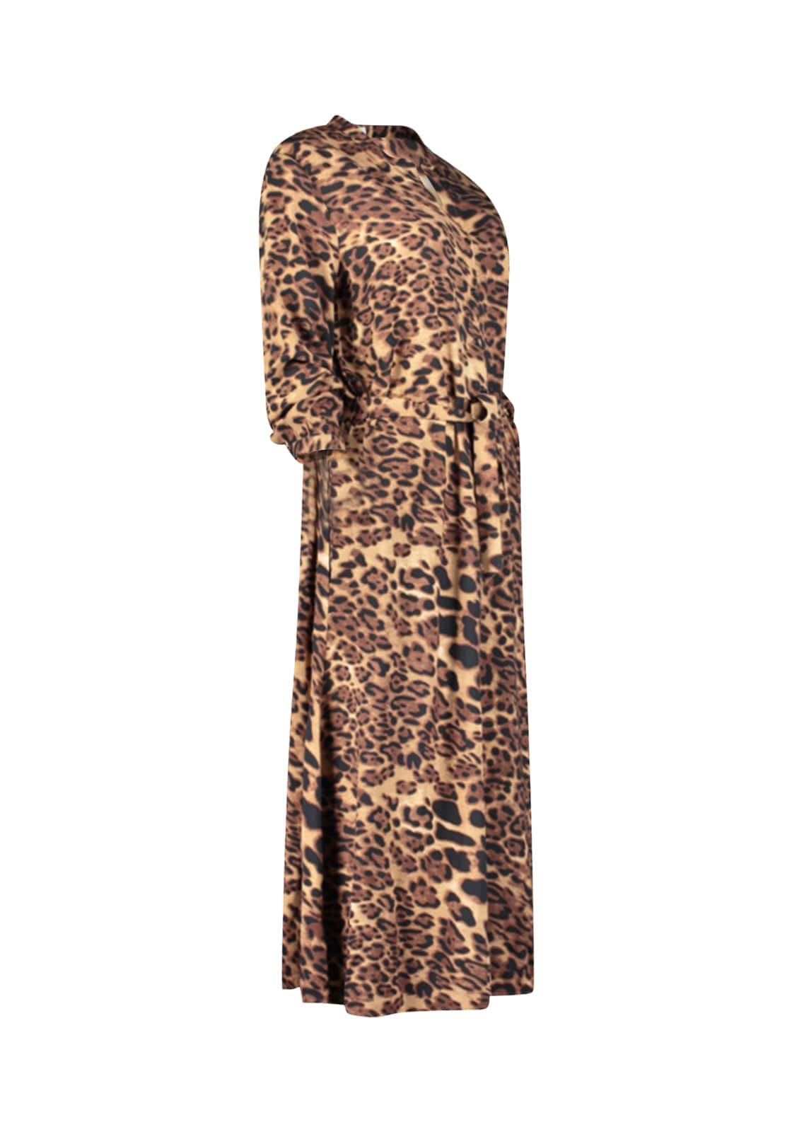 SuZa Leopard Print Dress