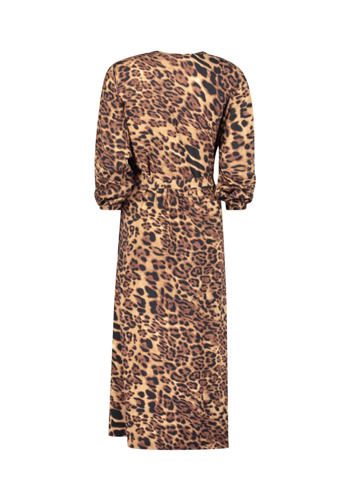 SuZa Leopard Print Dress