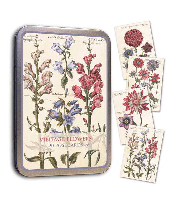 SKONA Postcards Tin