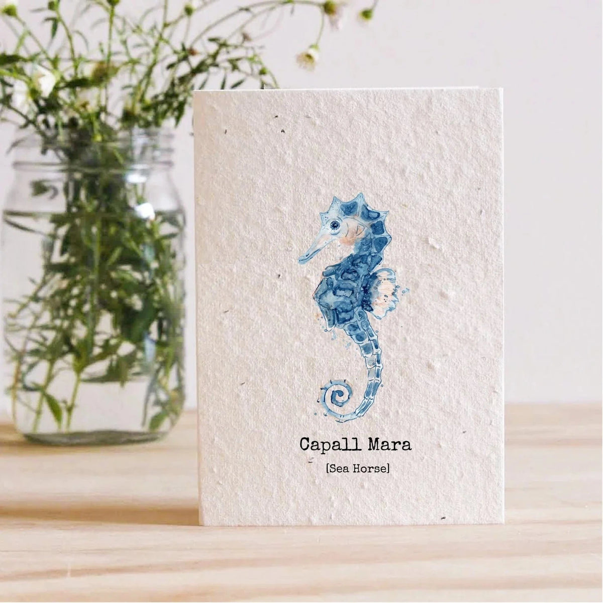 Seahorse (Capall Mara) Plantable Seed Card